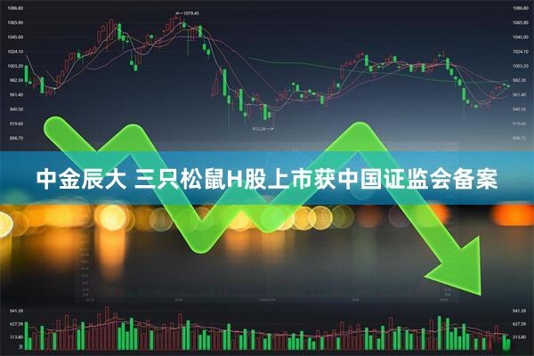 中金辰大 三只松鼠H股上市获中国证监会备案